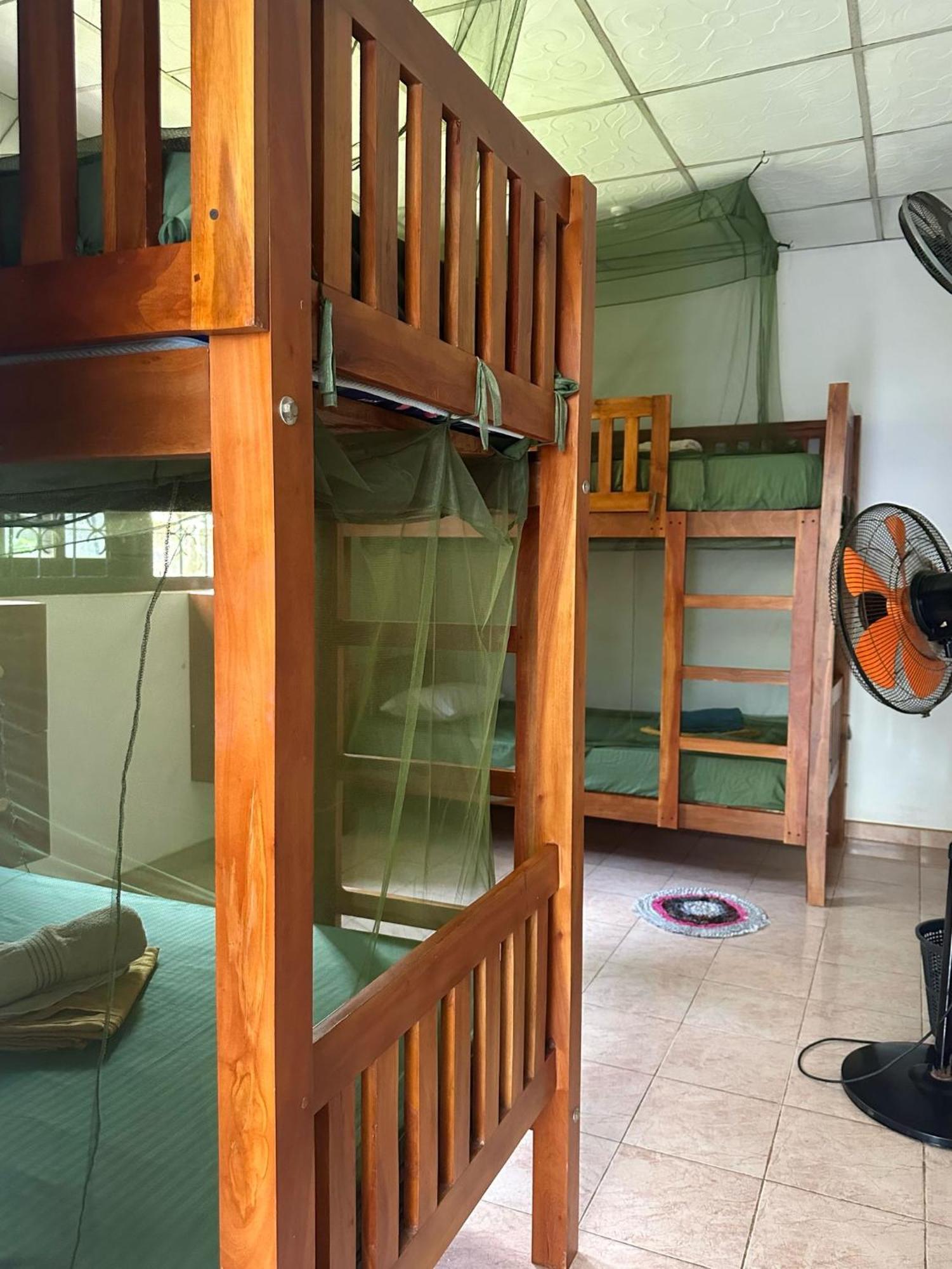 Coco Mango Hostel Dikwella Exteriér fotografie